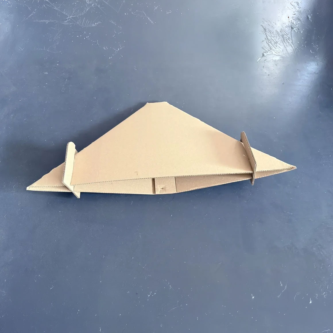 Tlaza - Fixed Wing 1 Boomerang